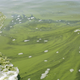 An algae bloom on Lake Erie. Yum.